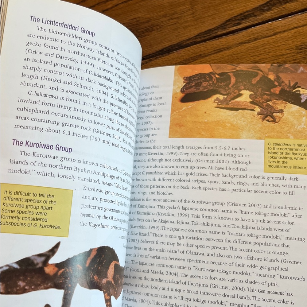 Leopard Geckos Guide Book - Picture 9 of 9